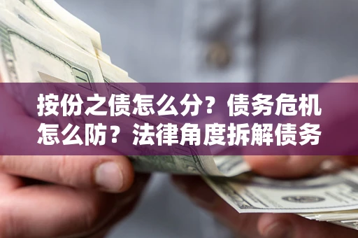 北京按份之债怎么分？债务危机怎么防？法律角度拆解债务分配与风险自保指南
