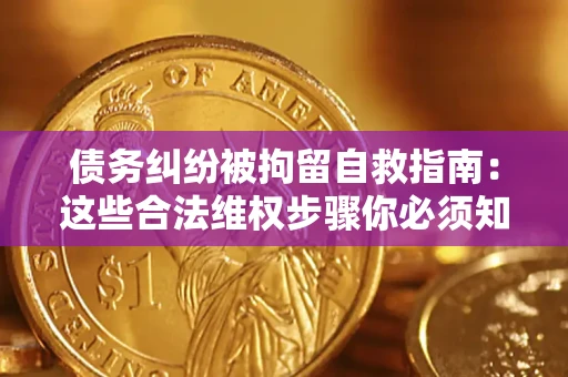 北京债务纠纷被拘留自救指南：这些合法维权步骤你必须知道！