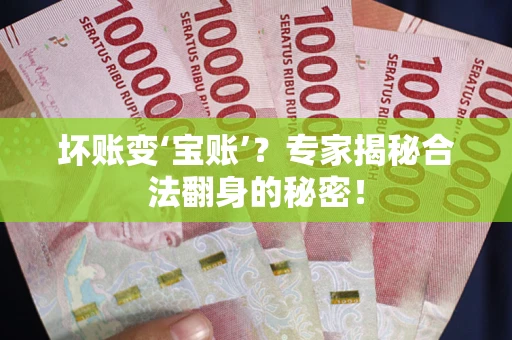 北京坏账变‘宝账’？专家揭秘合法翻身的秘密！