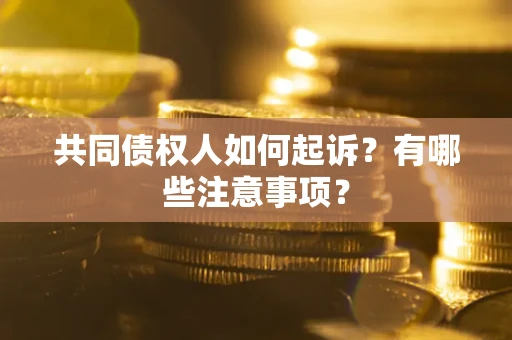 北京共同债权人如何起诉？有哪些注意事项？